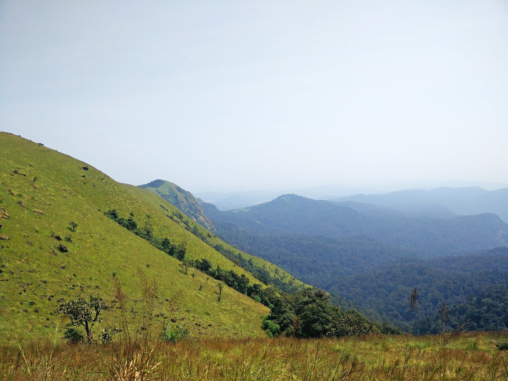 Rolling hills near the Kodachadri summit